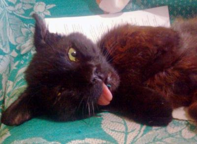 Прикрепленное изображение: Фото1157.jpg